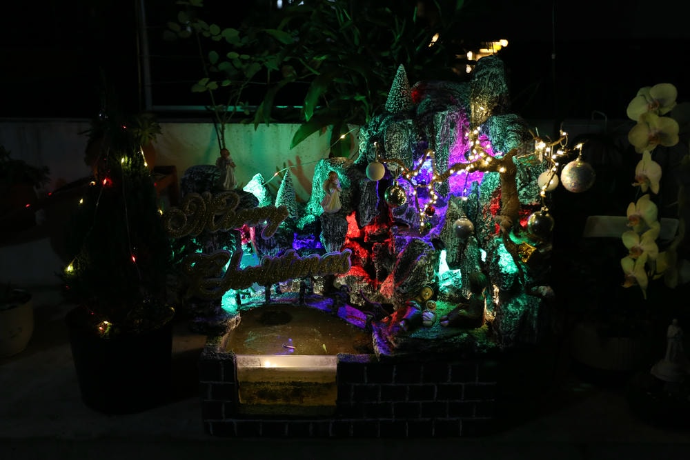 Album Đại Lễ Giáng Sinh 2025 tại Đại Chủng Viện