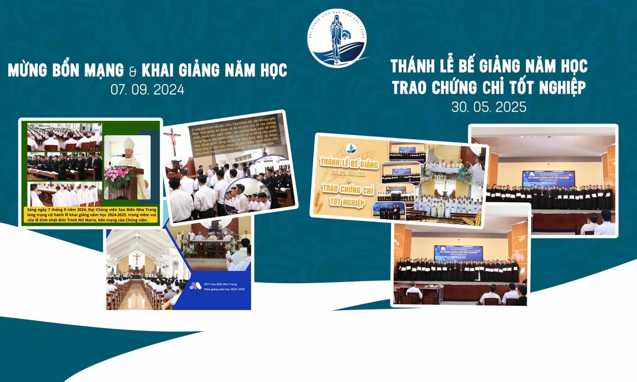DẤU ẤN SAO BIỂN